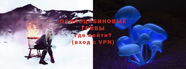 шишки Алзамай