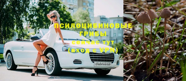 молекула духа Алексеевка