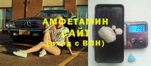 шишки Алзамай
