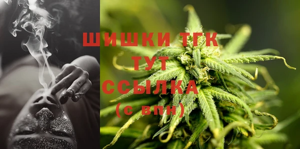 шишки Алзамай