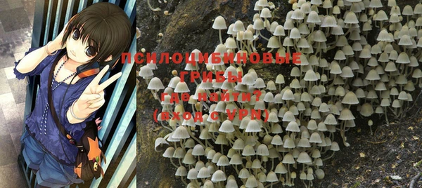 шишки Алзамай